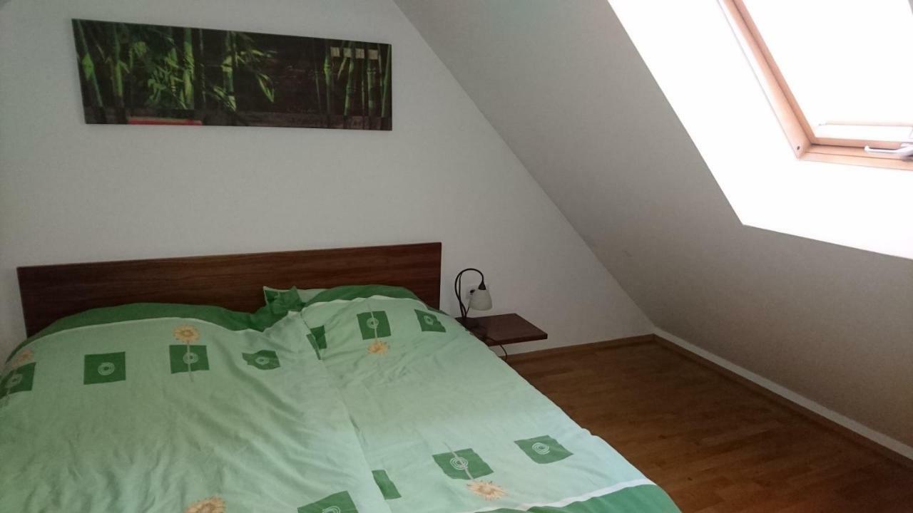 Willa Apartma Geoteh Terme Catez 6032 Krško Zewnętrze zdjęcie