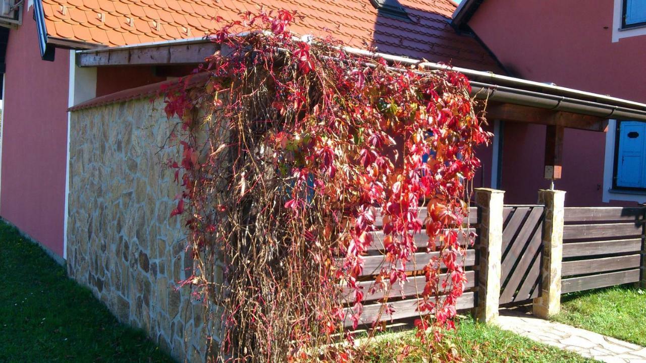 Willa Apartma Geoteh Terme Catez 6032 Krško Zewnętrze zdjęcie